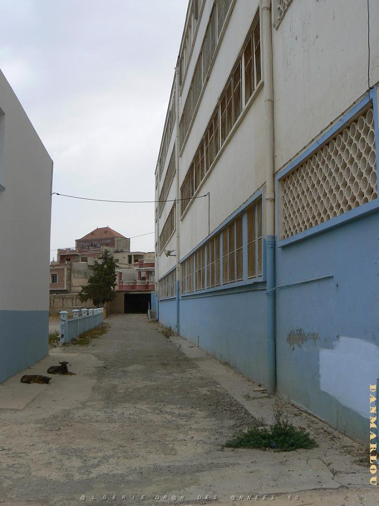 ECOLE ST AUGUSTIN A BOUISSEVILLE 2009  (16).jpg